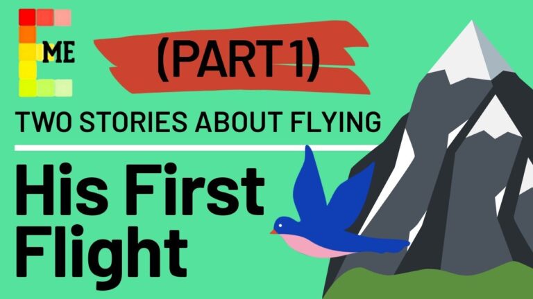 Two Stories About Flying