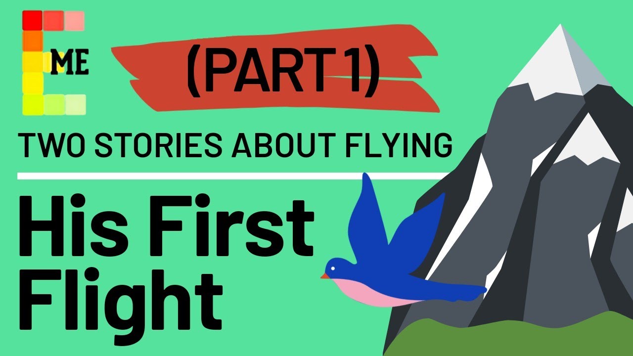 Two Stories About Flying